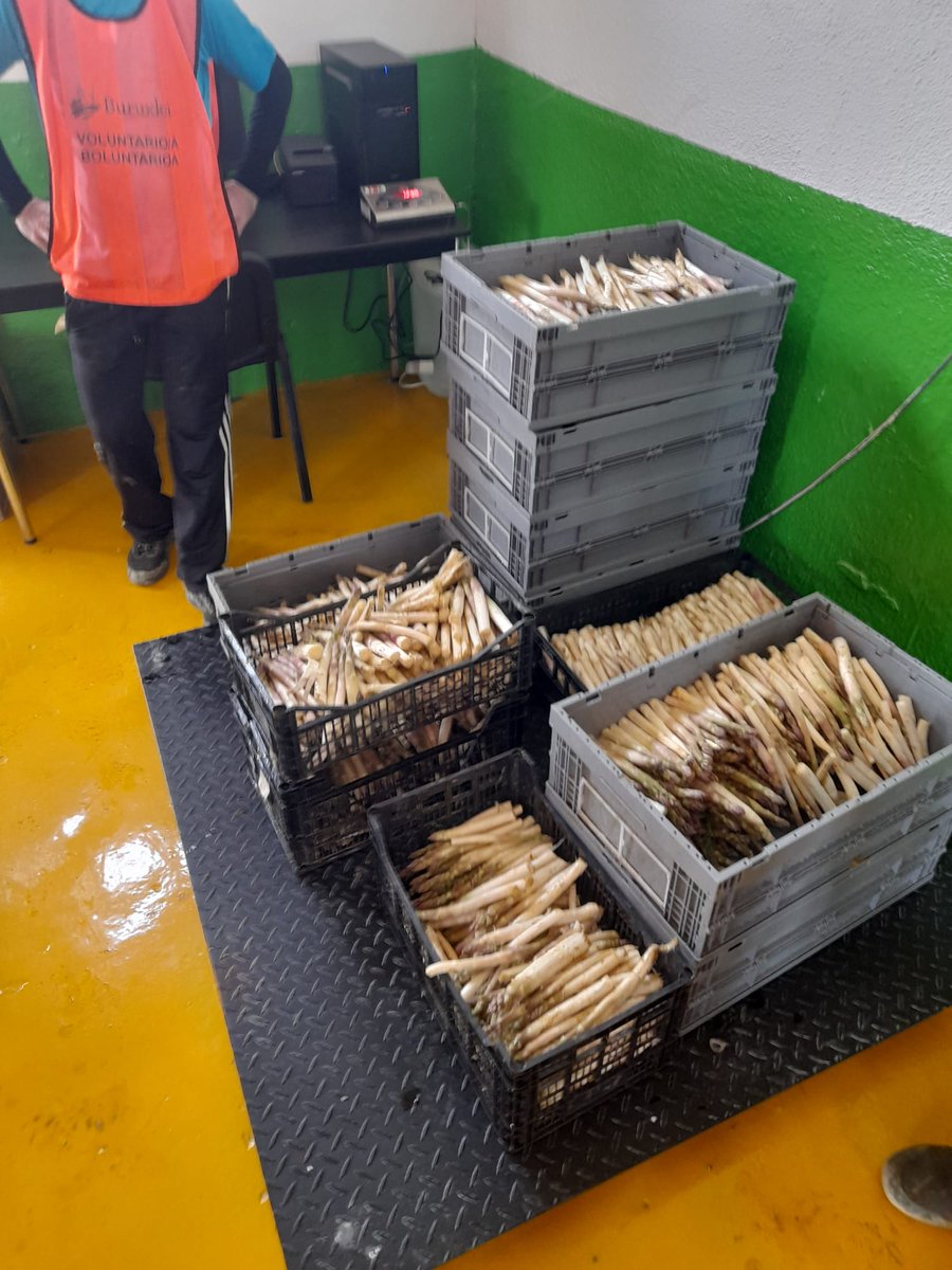 buruxka's tweet photo. 👋🏽👋🏽Buruxkaketekin itzuli gara!! 👋🏽👋🏽 Aste honetan 129 kilo zainzuri. @Deierri ko Udaletik jarraitzen dugu proiektuarekin https://t.co/lQF0w6mD8s