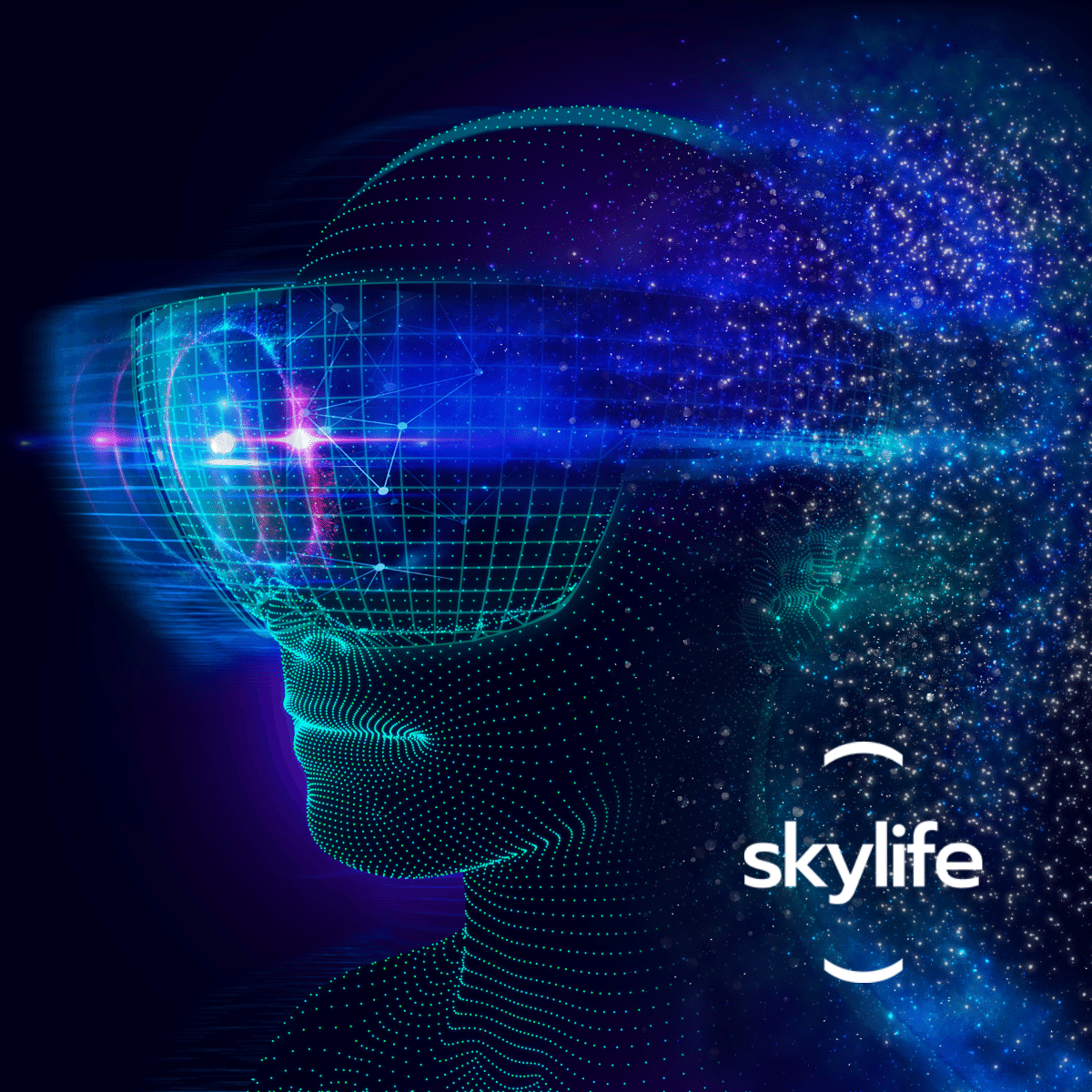 Skylife Engineering tweet media