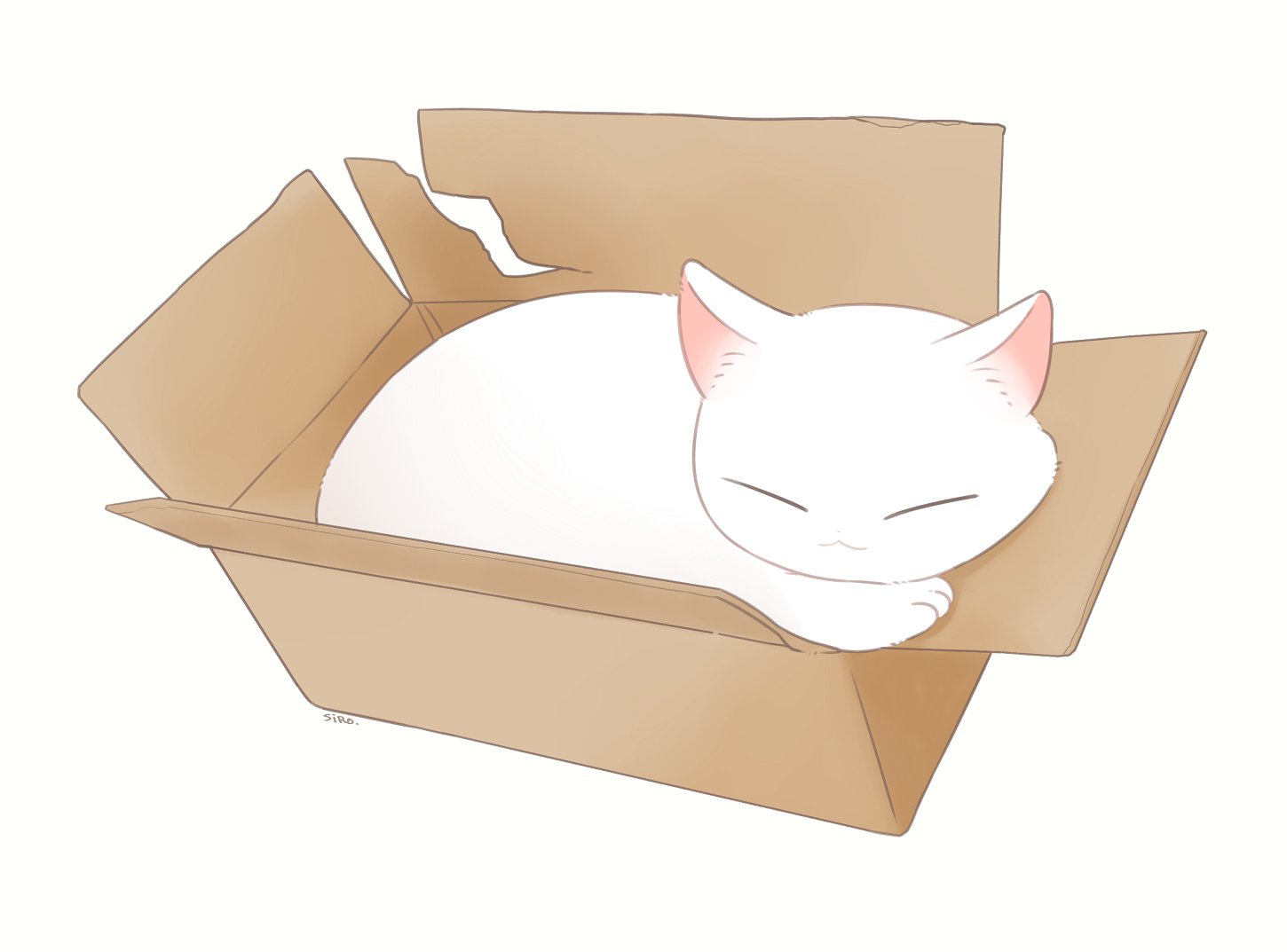しろ Skeb受付中 ダンボールの中でとけてる猫 イラスト Illustration Illust オリジナル 絵描きさんと繫がりたい 創作 ねこ T Co Aporghgsu0 Twitter