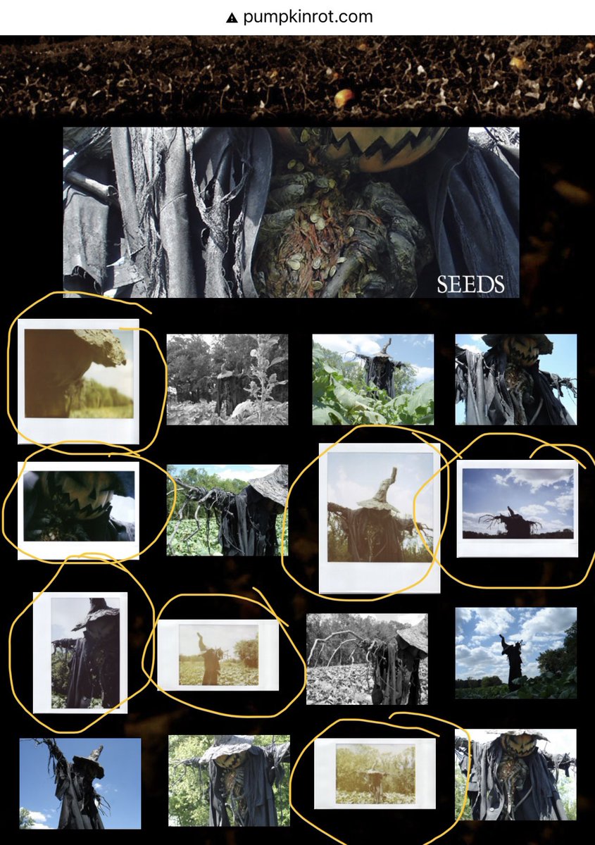 plum_hazel's tweet photo. Pumpkinrot’s scarecrow SEEDS. I helped with this photo shoot. Did some of the digital shots. But was well known for my instant photography. The circled ones now deleted from his site. @Mike_Dougherty @Horror_Retweet @Mike_Dougherty MNightShyamalan @halloweenradio @GroovyBruce https://t.co/vj7KOu0nNh