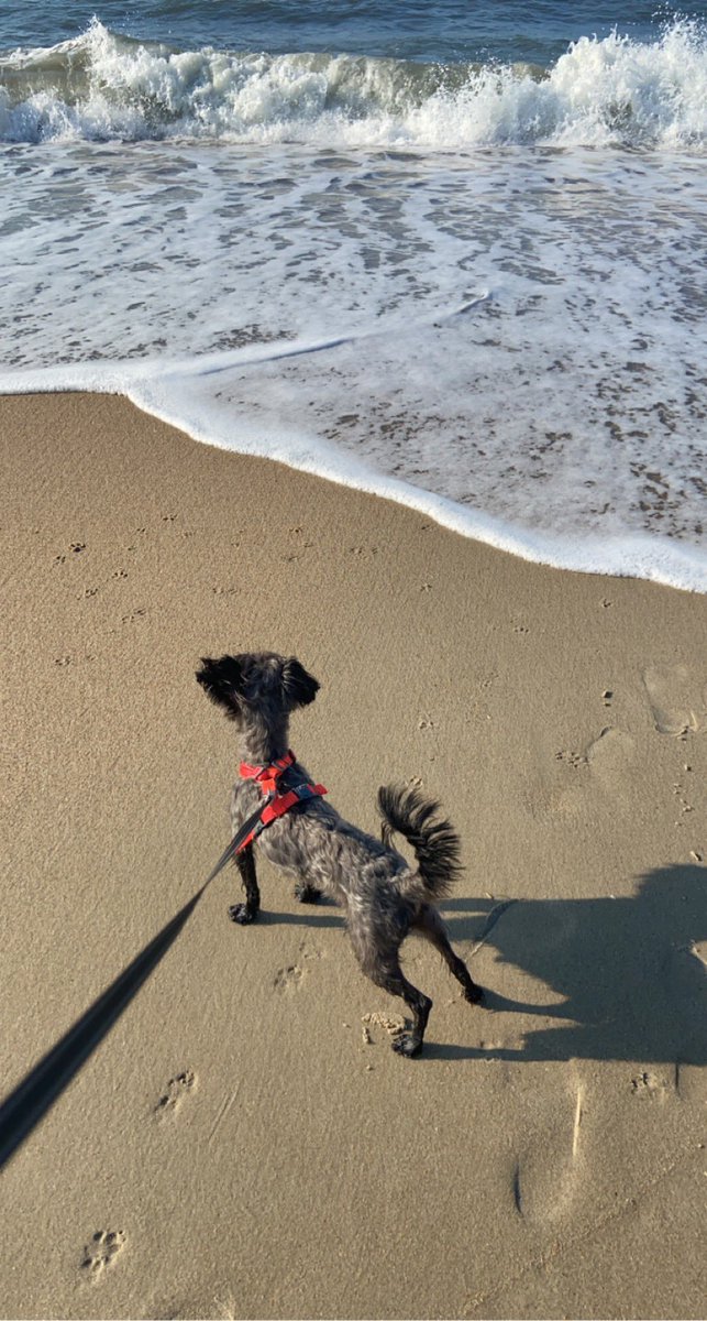 Recent trip to the outer banks!