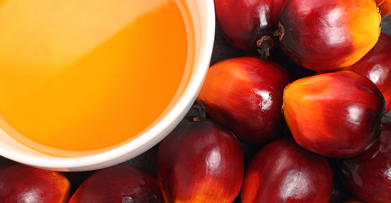 Indonesia bans palm oil exports, prices surge: ingredientsnetwork.com/indonesia-bans…