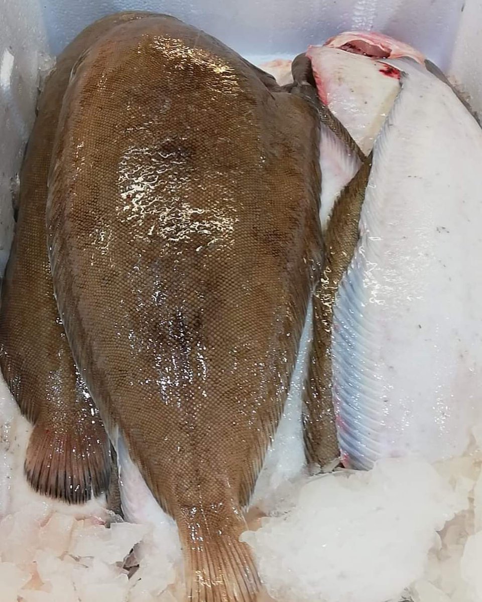 One of the lads have landed a few nice 2-2.5kg sea bass and around 25kg of beautiful Dover soles ranging from 250g up to around the 1kg mark....... any interest for your tables on this lovely weekend?!!! #fresherthanfresh #buybritish #boat2plate