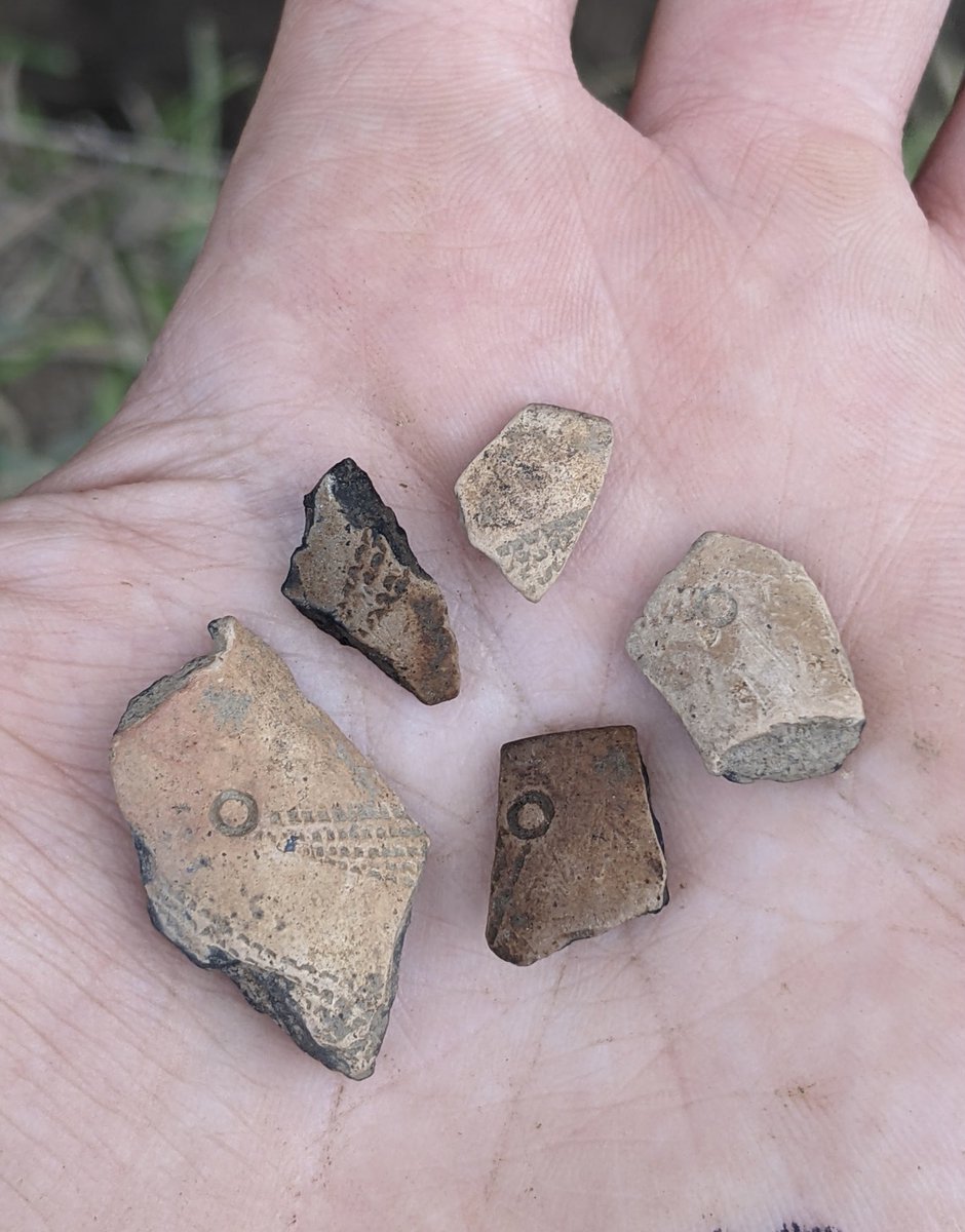 fairfieldfound's tweet photo. Update on the tobacco pipe discoveries yesterday. The team found even more fragments, and these have very distinct decoration on them. They are locally made from local clays and date almost exclusively to the 17th century in the Chesapeake. #publicarch #publicarchaeology https://t.co/j101MxffCG