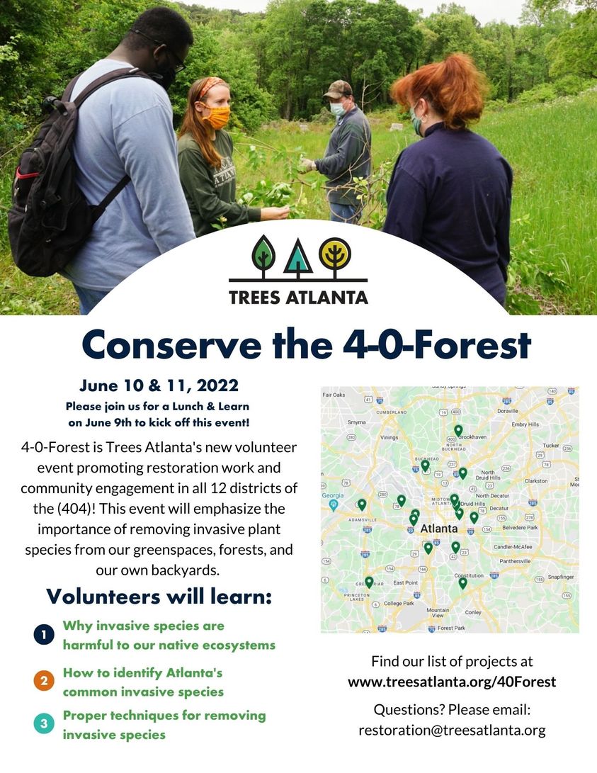 Trees Atlanta tweet media