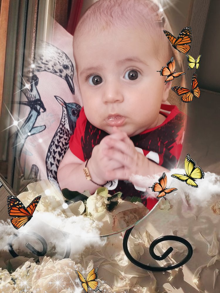 Lütfen çocuklarımızı koruyalım orqan mafıyalarından şimdide küçüçekmece halkalıya dadandılar birileri bunlara dur desin Lütfen