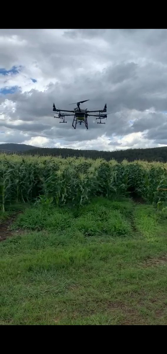 simon bailey tweet media