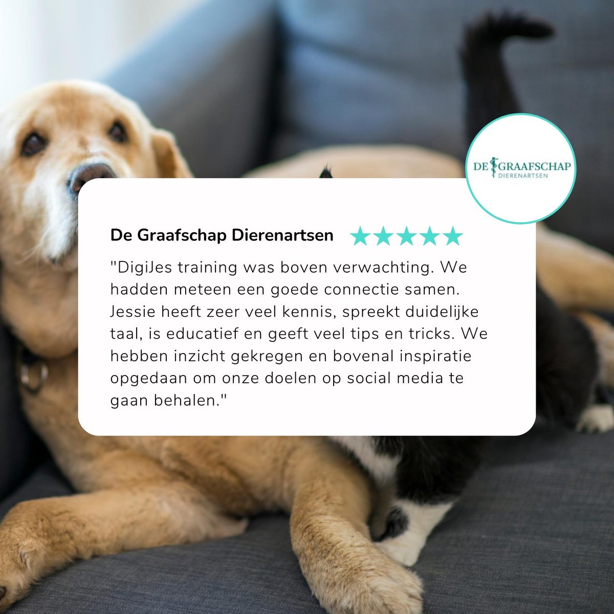 DigiJes's tweet photo. Social media training over dieren? Hier hoefde ik geen twee keer over na te denken! 😍 Dank De Graafschap Dierenartsen voor deze leuke samenwerking. Ik heb genoten van jullie input en uiteraard ook goede gezelligheid. Veel social plezier gewenst!

#contentmarketing #social https://t.co/0octoSomgG