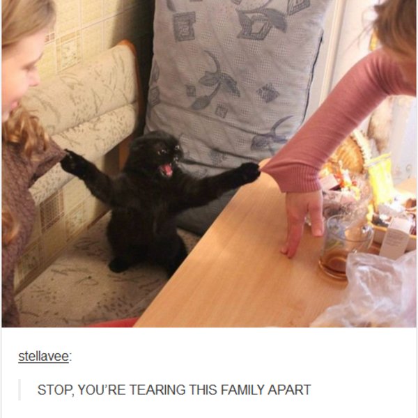 tag yourself: soy el gato entre mi padre y walter