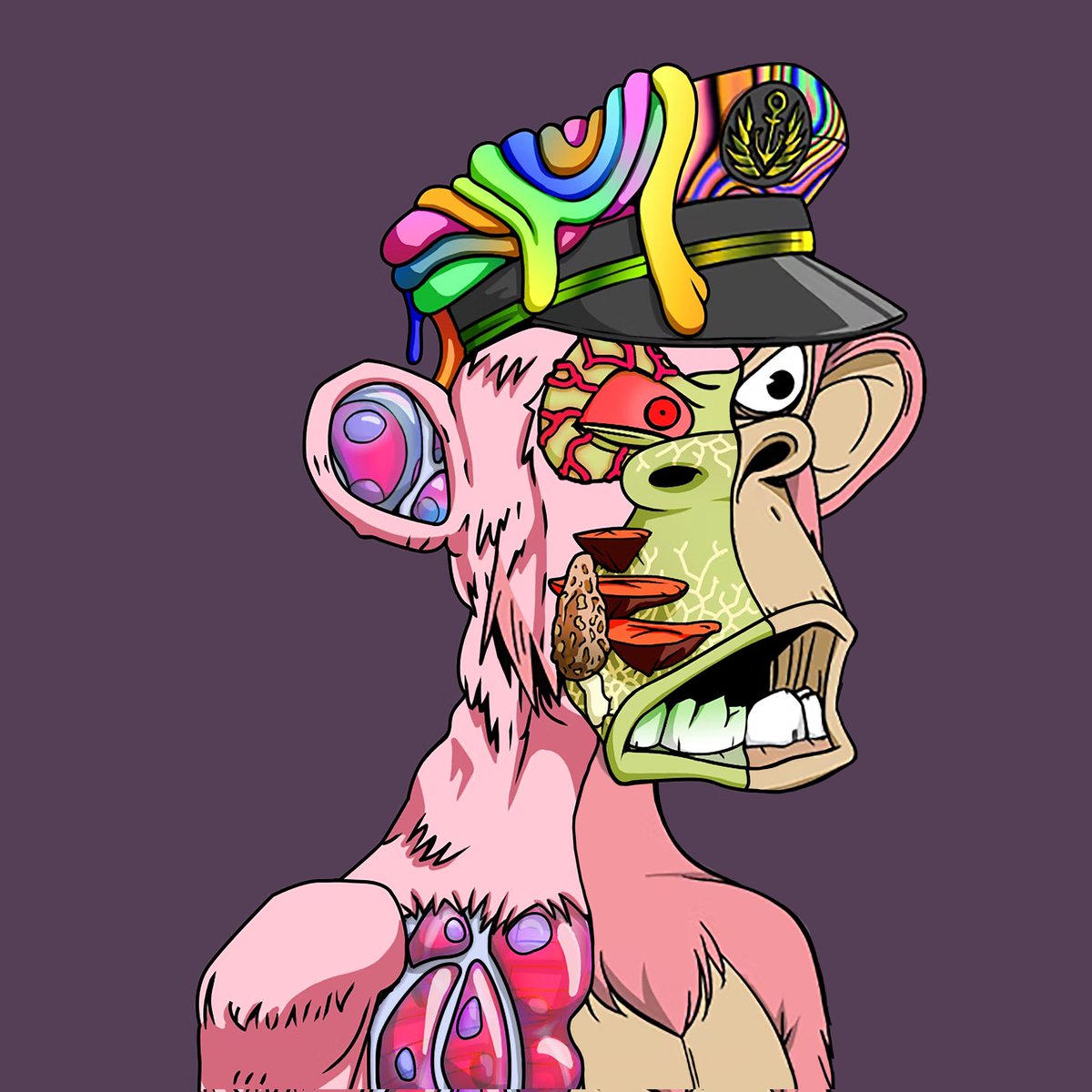 Bored_Mutant's tweet photo. @cometwtf Trippy captain hat 🤩🤩 

https://t.co/Sczhio4qDh https://t.co/6eAixKqPMv