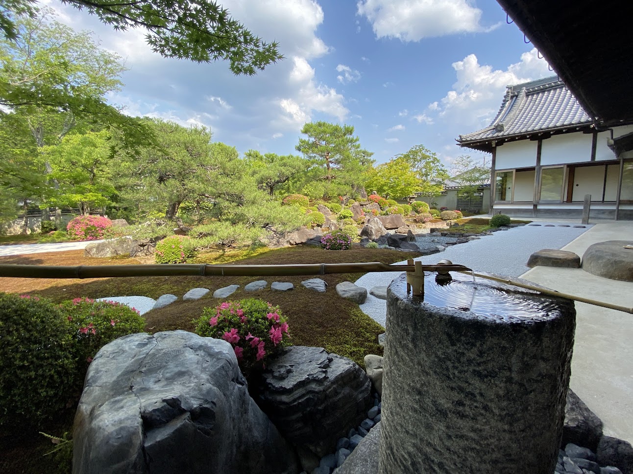 顕本法華宗 総本山 妙満寺 雪の庭のサツキが見頃を迎えています Jr東海さん主催による 花咲く京都 の 花の間 の展示は今週末6日 日 までです 皆様のお越しをお待ちしております ぜひご参詣くださいませ イベント詳細は そうだ京都 行こう 顕本法華宗 総本山 妙満寺 雪の庭のサツキが見頃を迎えています Jr東海さん主催による 花咲く京都 の 花の間 の展示は今週末6日 日 までです 皆様のお越しをお待ちしております ぜひご参詣くださいませ イベント詳細は そうだ京都 行こう