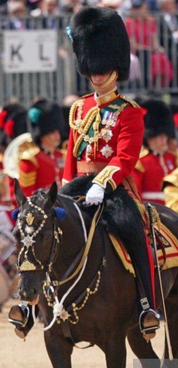 If I'm not mistaken that's a Ulster Defence Regiment CGC cap badge on the bridal of the Duke of Cambridge's horse on the Trooping The Colour yesterday.