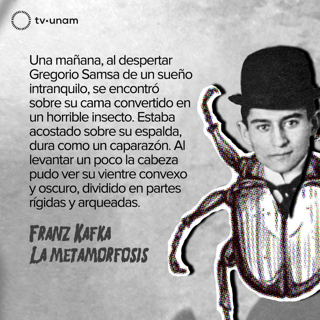 Novelista y cuentista checo, Franz Kafka es uno de los autores más influyentes de la literatura universal y pionero en la fusión de elementos realistas y fantásticos. A 98 años de su fallecimiento, compartimos este texto.📖👉🏼 bit.ly/36UOJco