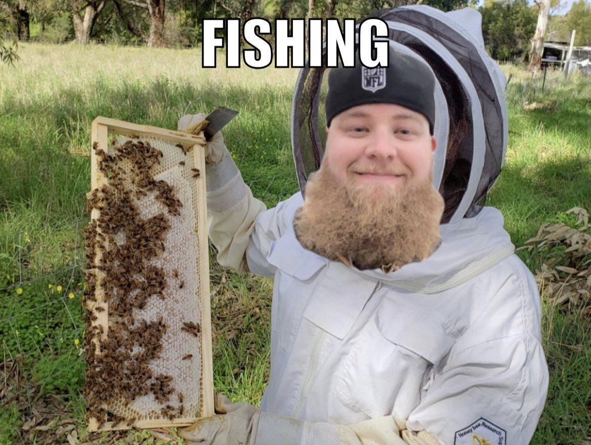 ThePerchJerker's tweet photo. An appeals court just ruled that BEES are now legally considered FISH in California 🐝🐠 https://t.co/fkaOLnNnKQ