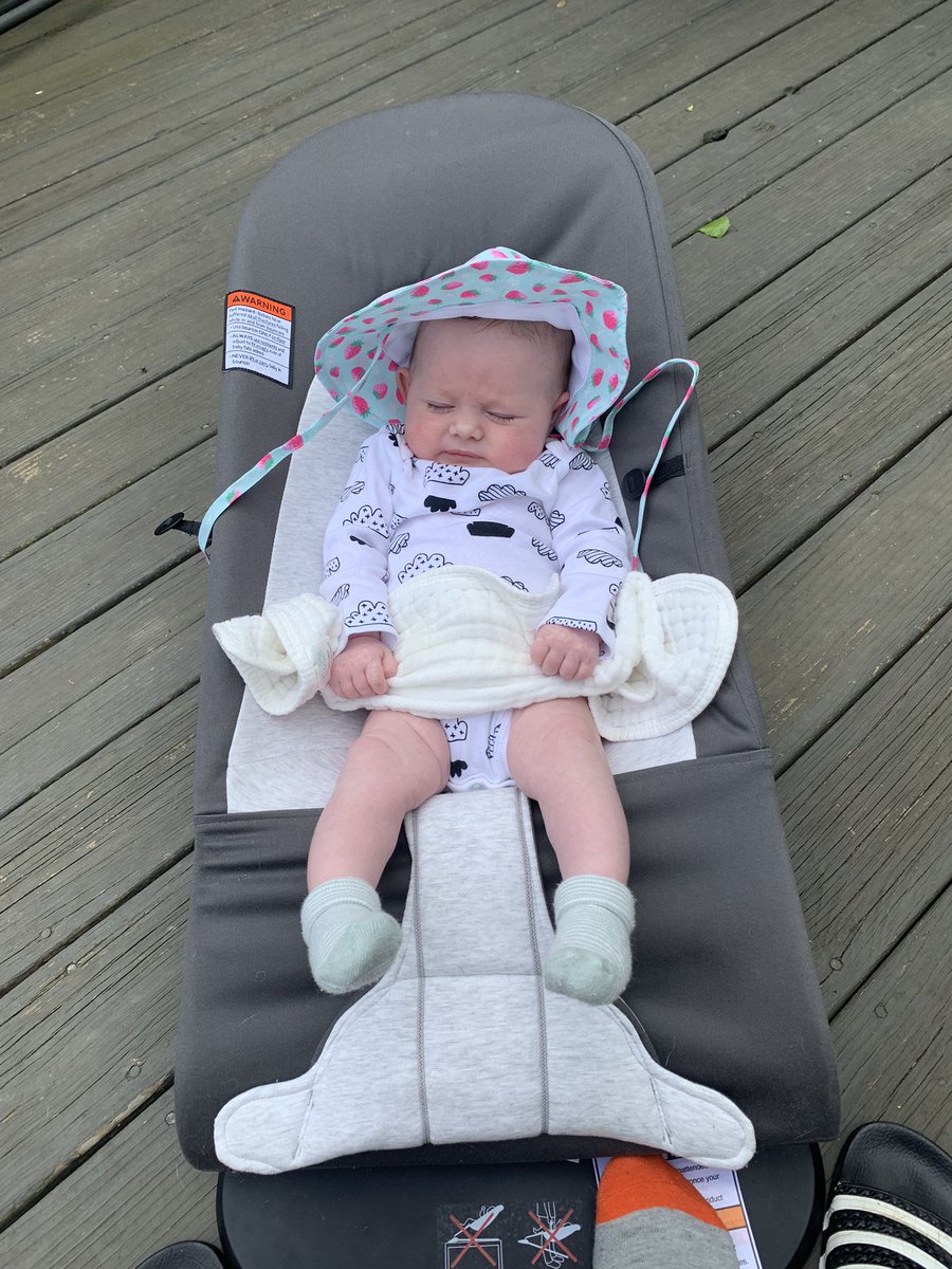 LilShew13's tweet photo. Mood. https://t.co/s5NQZk2cIT