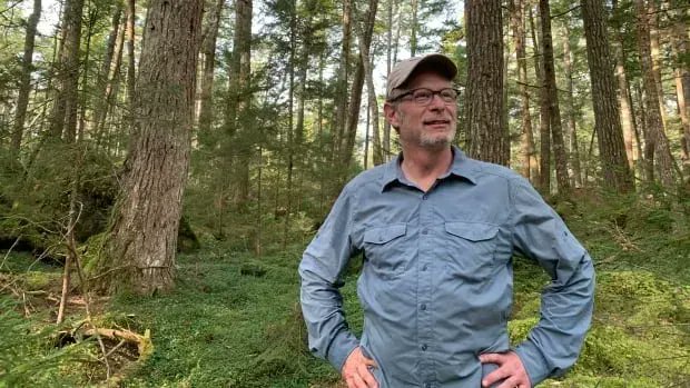 Doctors_NS's tweet image. Operation Hemlock: How emergency physician Dr. George Kovacs ended up treating trees: buff.ly/3NQcir7 by @phliscbc via @AtlanticVoice