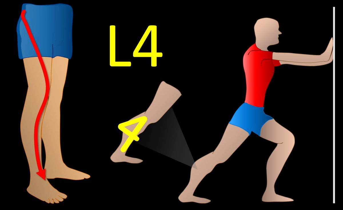 5/L4 radiates to the calf. I remember this bc the number 4 looks like the calf, with the top part of the 4 looking like a bulging gastroc & the bottom part of the four is the rest of the calf connecting to the ankle. Don’t we all wish we had bulging gastrocs like the number 4!