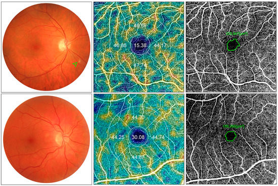 Biomedicines MDPI tweet media