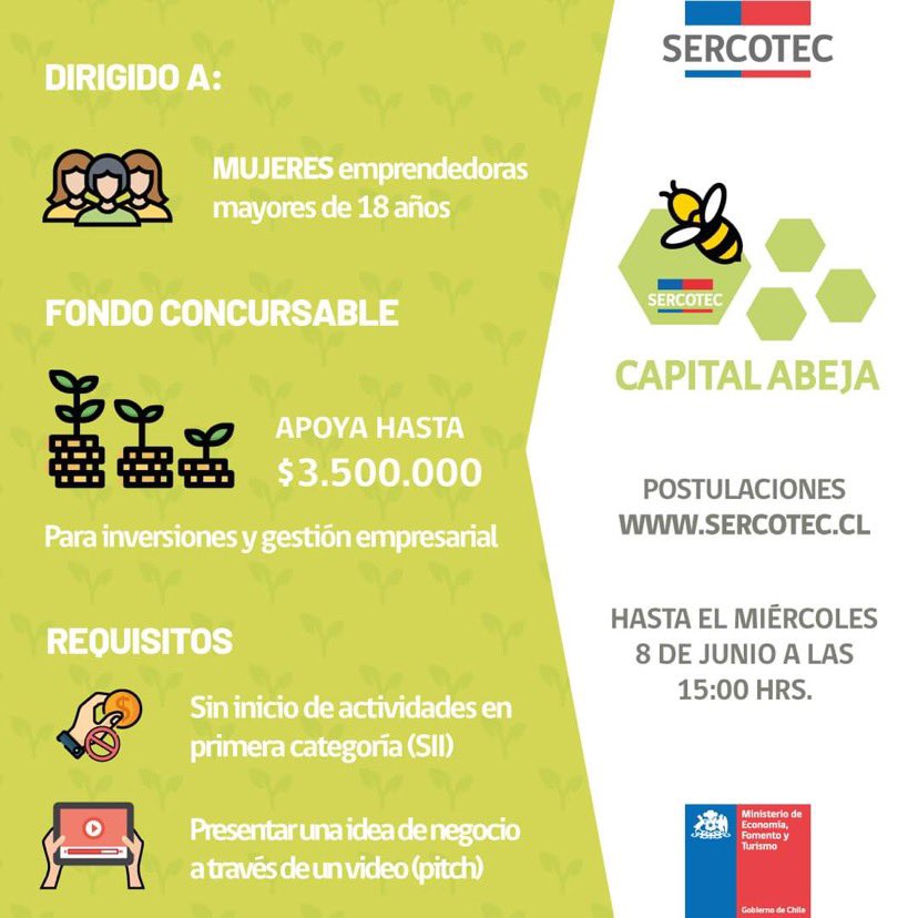 ¿Necesitas un impulso para llevar  tu idea de negocio al siguiente paso? ¡Postula al #CapitalAbeja2022🐝!
 
🍯 La convocatoria estará disponible hasta el 8 de junio hasta las 15:00 hrs. Ingresa a sercotec.cl, lee las bases y requisitos de la convocatoria y participa.