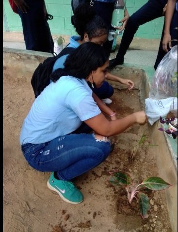 Los alumnos media general <a href="/UENLuisUrdanet1/">UEN-LuisUrdanetaSanFco</a> dándole honores a la semana del día del árbol <a href="/MediaGeneralZEZ/">Coord de Media General del Zulia</a> @zonaeduzulia <a href="/dorelisecheto/">Dorelis Echeto</a>