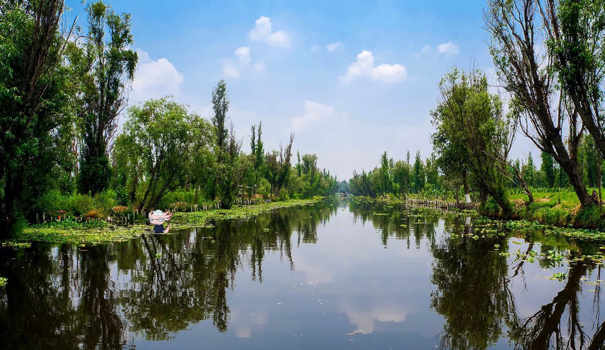 #SaveTheAxolox <a href="/AxoloxNFT/">AxoloX | MINTING NOW</a>