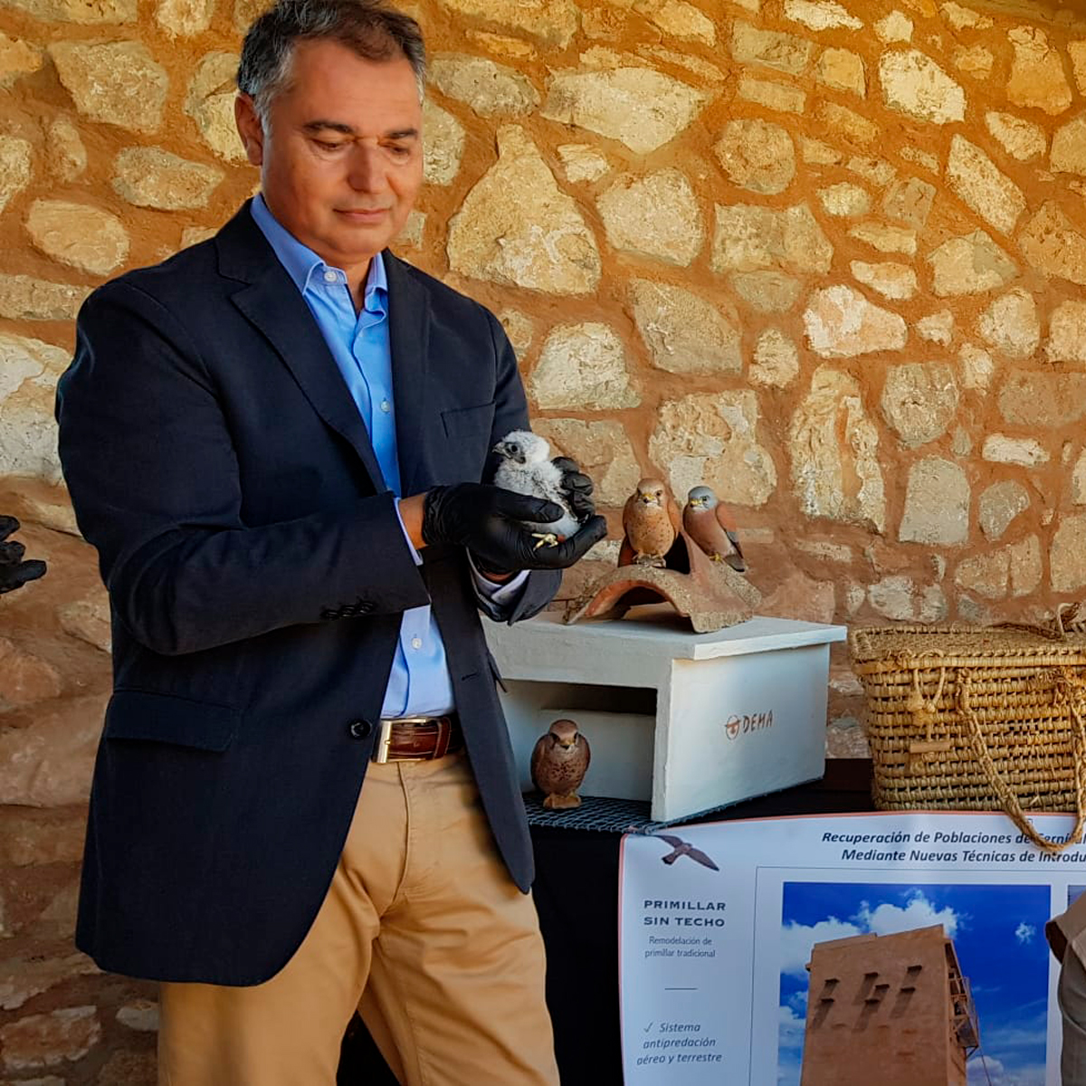 MalagaJunta's tweet photo. 🐦🪶 #Málaga es elegida por @Endesa y la @AndaluciaJunta para llevar a cabo un proyecto de conservación del cernícalo primilla, desarrollado por DEMA (Defensa y Estudio del Medio Ambiente) y basado en una metodología de liberación innovadora. https://t.co/X0B5utUiEF