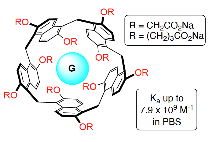 Getting scooped is never fun ... but I think we have a few aspects to add to the water soluble #prismarene story.
New Synthetic Route to Water Soluble Prism[5]arene Hosts and their Molecular Recognition Properties | ChemRxiv doi.org/10.26434/chemr…