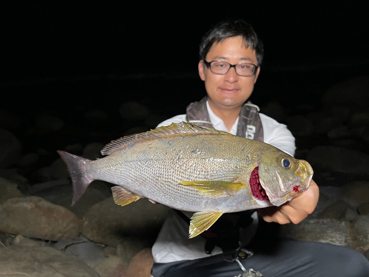 kinopy_SWangler's tweet photo. キントキやマツカサに邪魔されながらも裏本命のイサキを2匹キャッチ!40cmぐらいある大型👍本命メバルはお留守の様子やけどもうどうでも良い(笑)
#KinopyCraftWorks
#レンジセンサーAJ https://t.co/eJjXqNfngV