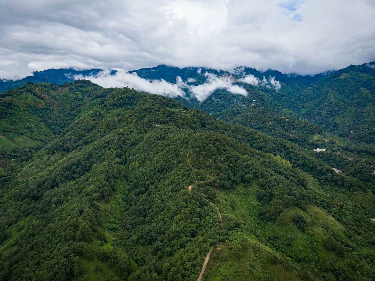 VidaChalateca's tweet photo. Chalatenango El Salvador 🇸🇻💚 https://t.co/4mSMcowIj9