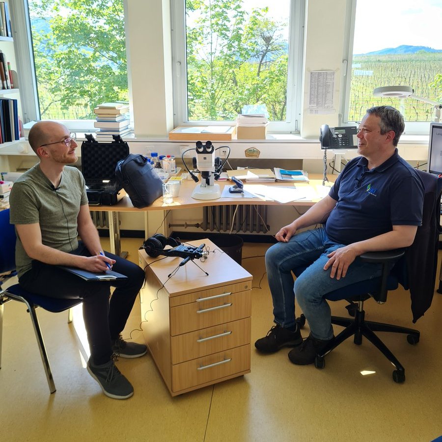 JKI_Bund's tweet photo. #Dubbecast, der #Pfalzweinpodcast hat uns in Siebeldingen besucht. Wer wissen möchte, was Dr. Christoph Hoffmann über Insekten und #Pflanzenschutz im #Weinberg und funktionelle #Biodiversität ins Mikro gesäuselt hat, sollte mal reinhören: https://t.co/zcPGTAALO0
📸: Dubbecast https://t.co/Hl5nuaF51h