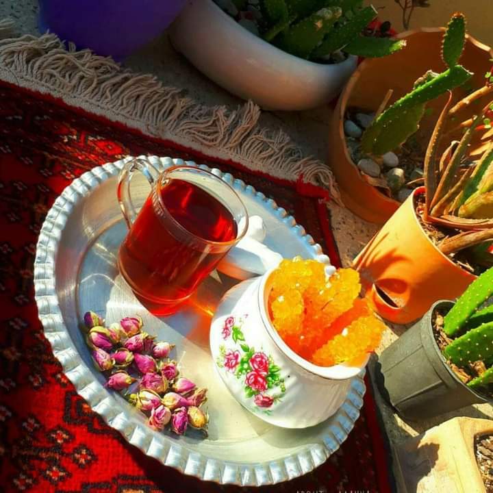 ZrmynhR's tweet photo. د زوراورو  به څه زور وي
د جانان خپله نامردي ده نه راځيــــــــنه https://t.co/K2Uwewvw4B