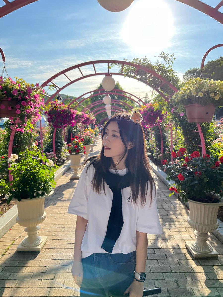 _jimmni_'s tweet photo. 여러분은 동물원에서 좋아하는 동물은 뭐에요?? 저는 사막여우랑..랫서판다 엄청 좋아해요…🫶🦊🐼랫서판다 꼭 보고야 말테야…🥹🫶😭💓여러분 굿나잇🌷🌸 https://t.co/xu9bwxemi9