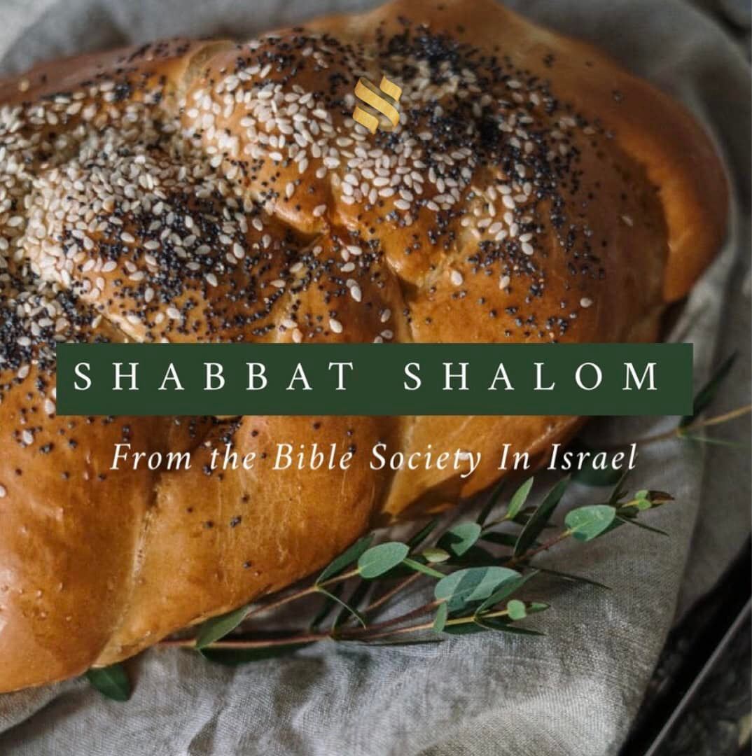 Have a rested weekend and blessed Shabbat! 'Of how much more value is a man than a sheep! So it is lawful to do good on the Sabbath.” Matthew 12:12 #shabbatshalom #shabbat #שבת #שבתשלום #bibleverse #Bible