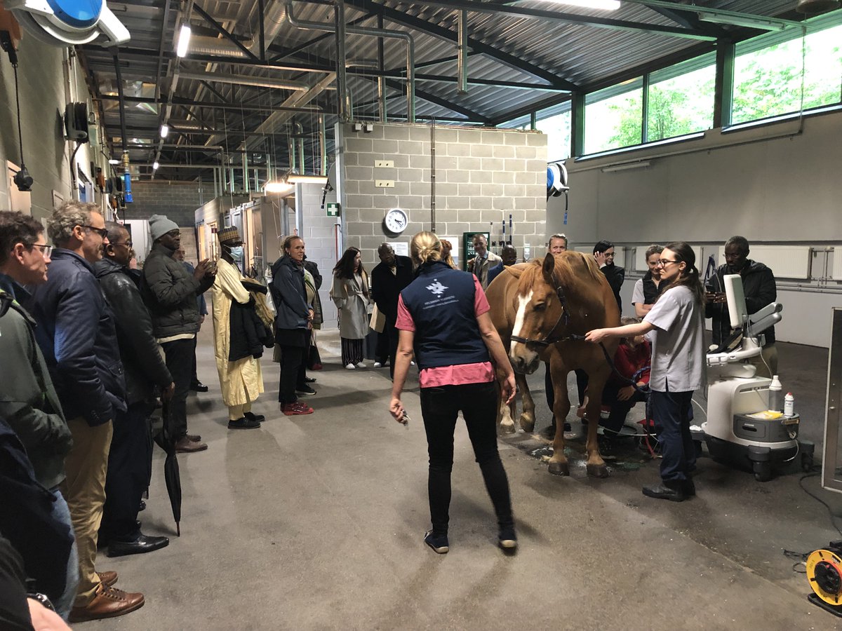 Helsinki One Health tweet media