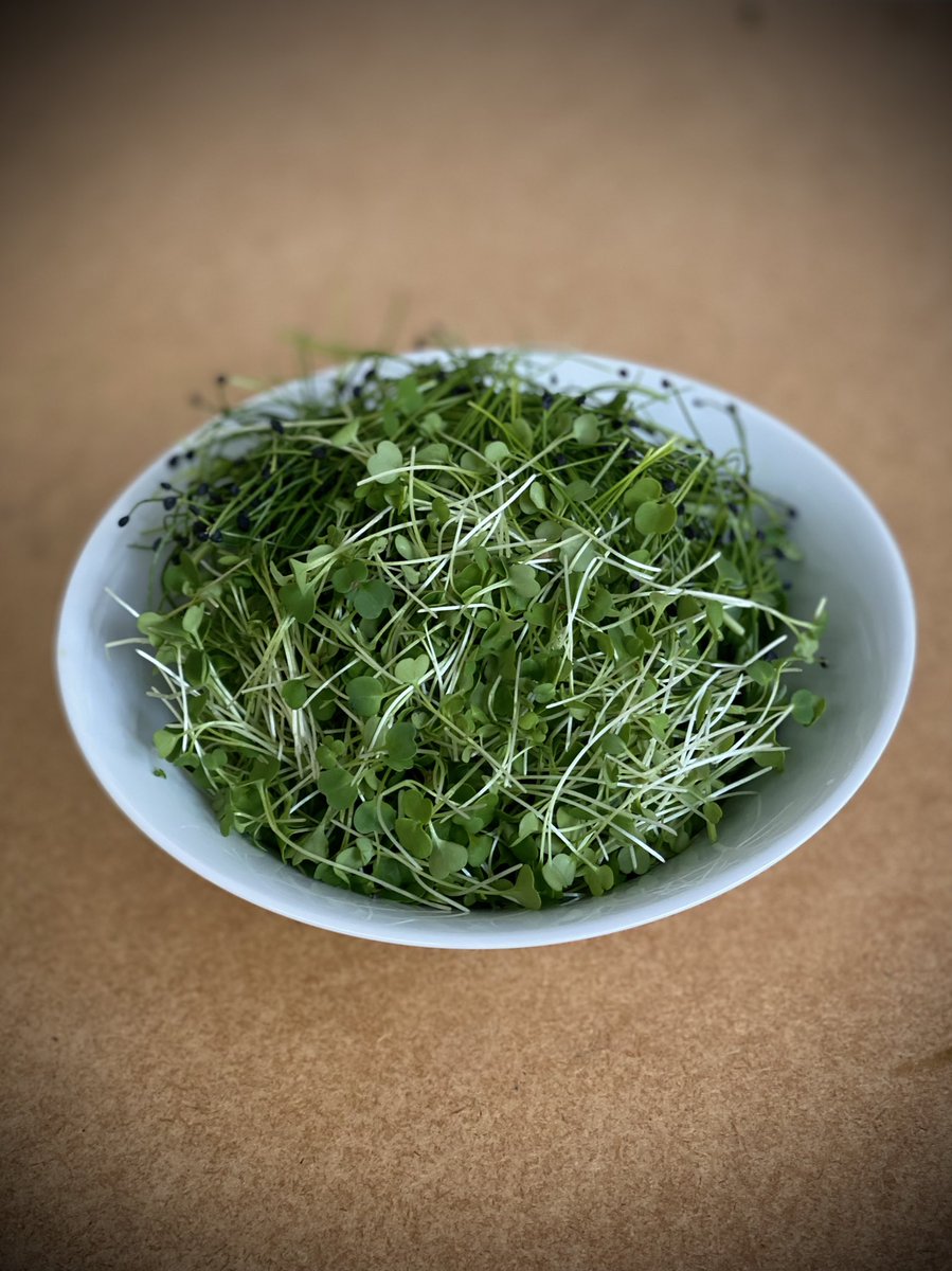 Growing Underground tweet media