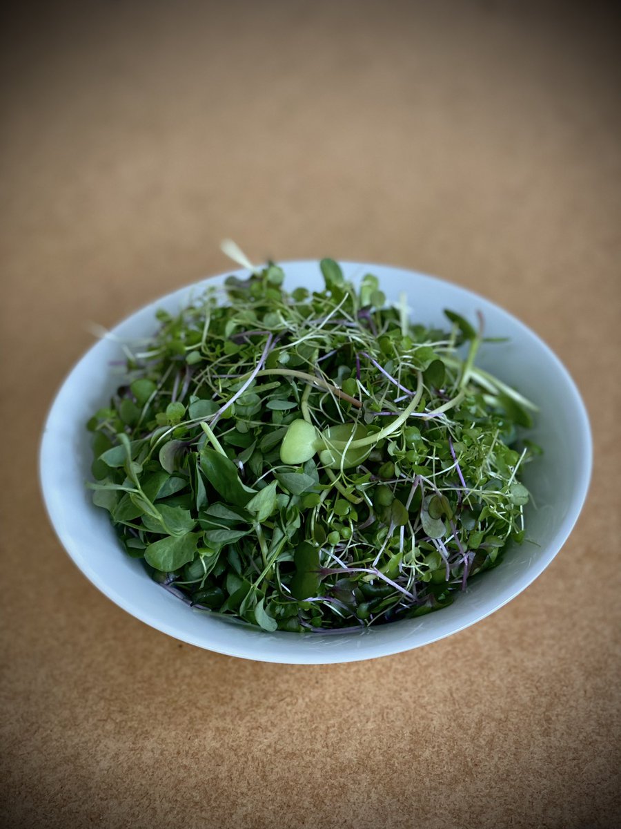 Growing Underground tweet media