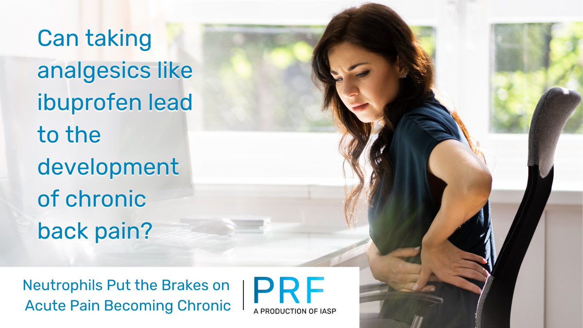 A new article from PRF discusses how neutrophils help prevent the transition from acute to chronic pain after injury, and how dampening their activity with anti-inflammatory drugs, like ibuprofen or diclofenac, can prolong pain duration. Learn more: bit.ly/3z1Up4r
