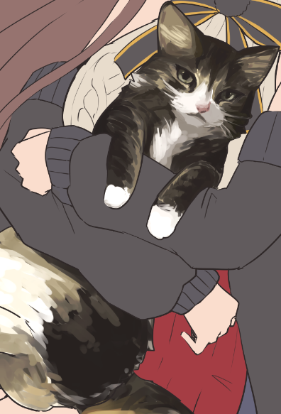 ネコチャンと和解できた気がする 