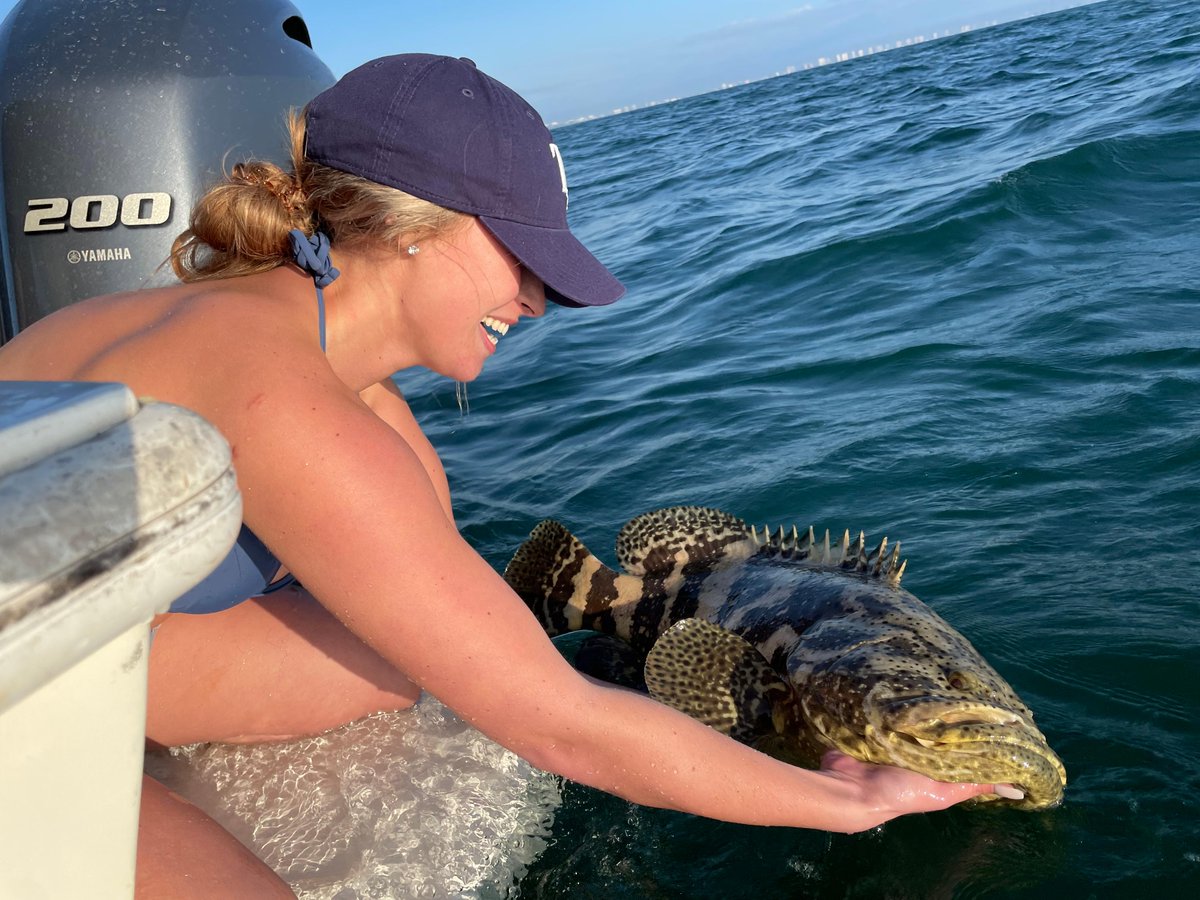 PortSanibel's tweet photo. Check out this Grouper! #Fishing #PortSanibelMarina #Sanibel #BoatRentals #Boating #PortSanibel #Fishingcharters #SWFLBoating https://t.co/XetnBwwVfn