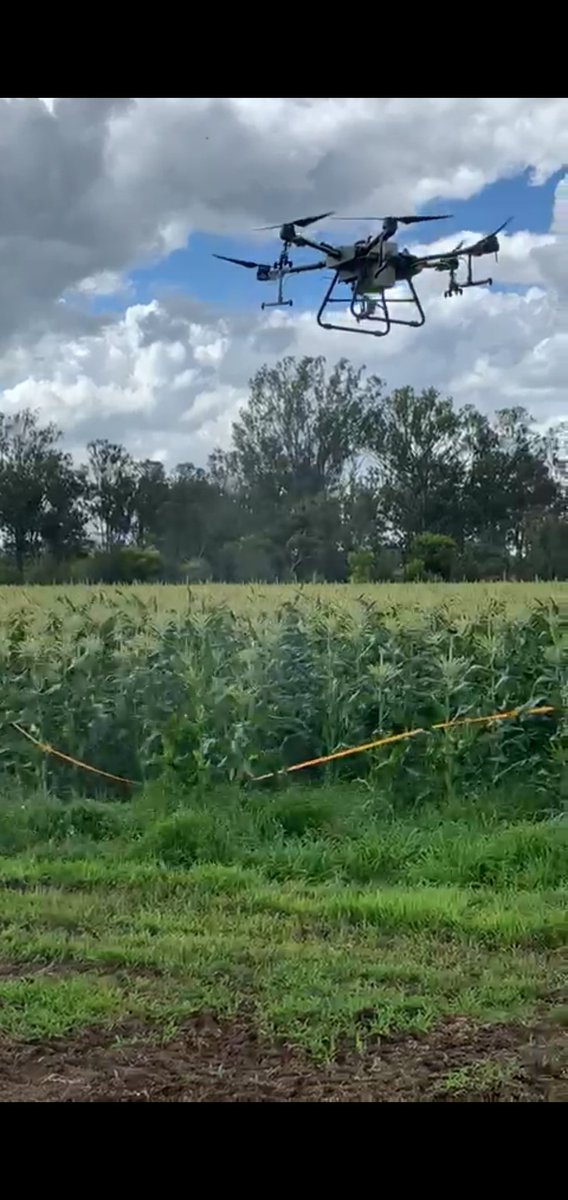 simon bailey tweet media