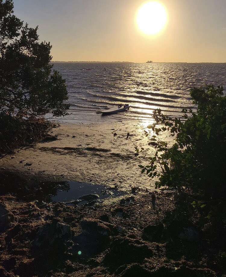 Only a polished figure can be competent for cutting various fashions.