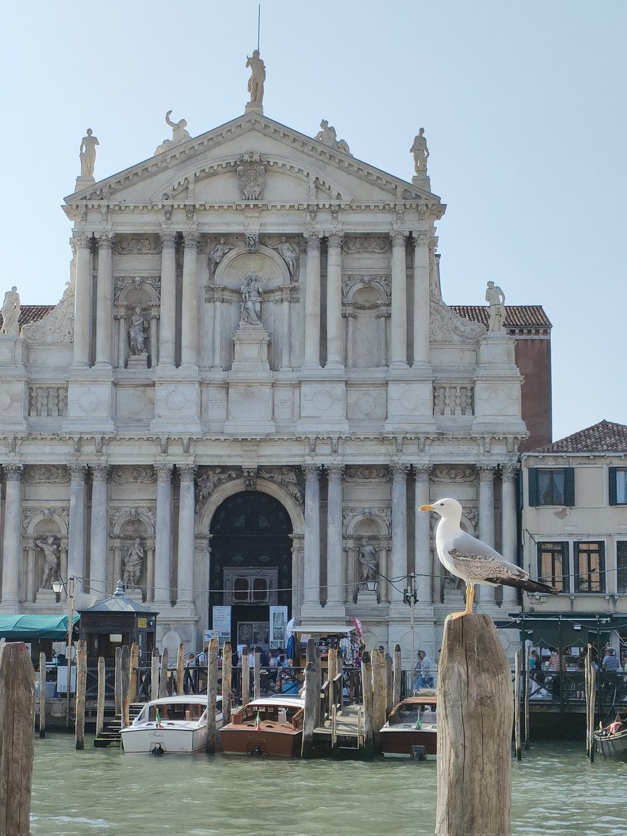 ClaraOrts99's tweet photo. Venecia - Milano
Un trocito de Italia https://t.co/BB5qRtkMcj