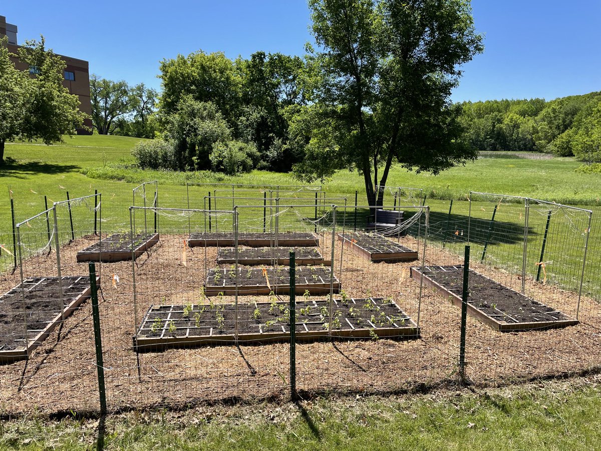 Laker Marketplace (@lakermarket) on Twitter photo The PLHS garden is ready to roll!!! HUGE thanks to everyone who pitched in and got their hands dirty for an amazing space to grow delicious vegetables! #PLSASAllIn <a href="/isd719/">Prior Lake-Savage Area Schools</a> <a href="/DrBezek/">John Bezek</a> The PLHS garden is ready to roll!!! HUGE thanks to everyone who pitched in and got their hands dirty for an amazing space to grow delicious vegetables! #PLSASAllIn <a href="/isd719/">Prior Lake-Savage Area Schools</a> <a href="/DrBezek/">John Bezek</a>