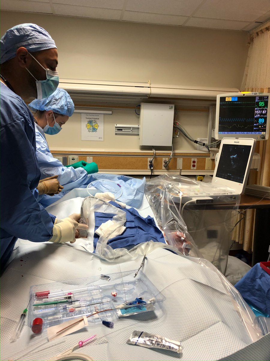 PennLungRescue (@pennlungrescue) on Twitter photo Then versus now: TEE in the OR in 1981 --> portable TEE for mobile ECMO cannulations. How far we have come! The future is bright 😎 <a href="/asadusman/">Asad Usman</a> <a href="/GutscheJacob/">jacob gutsche</a> <a href="/AESpelde_MD/">Audrey Spelde, MD</a> Then versus now: TEE in the OR in 1981 --> portable TEE for mobile ECMO cannulations. How far we have come! The future is bright 😎 <a href="/asadusman/">Asad Usman</a> <a href="/GutscheJacob/">jacob gutsche</a> <a href="/AESpelde_MD/">Audrey Spelde, MD</a>