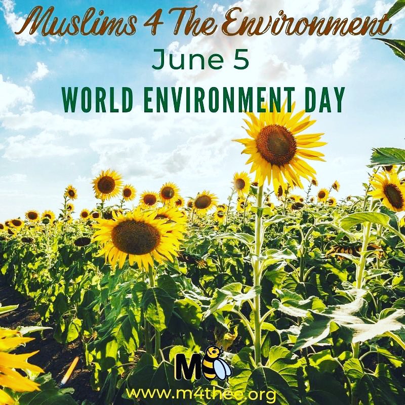 World Environment Day is celebrated on June 5 to encourage people to take action and protect the environment. 
#WorldEnvironmentDay #WorldEnvironmentDay2022 #june5 #OnlyOneEarth #Environment #sustainability #climatechange #Climate Change