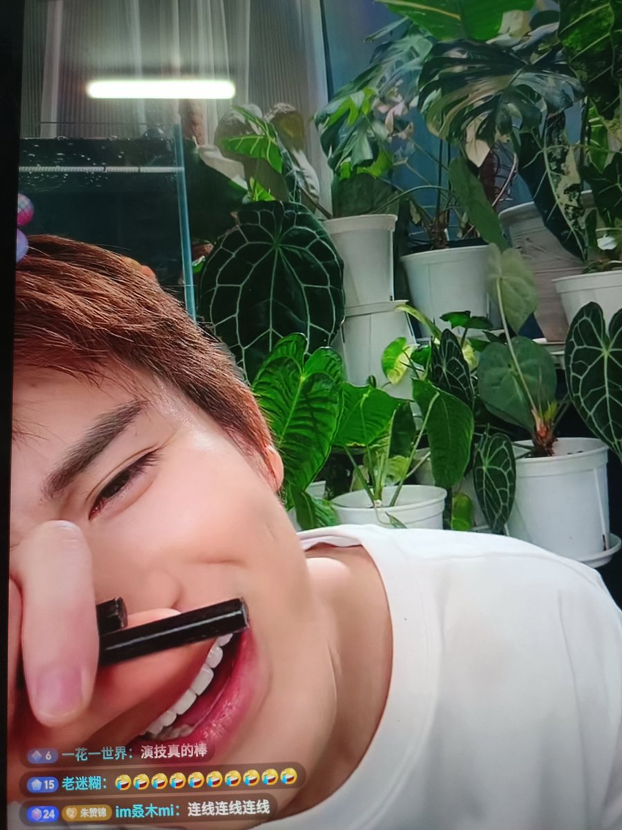 ❤️หม่าม๊าของยัยหนูจู🦊 tweet media