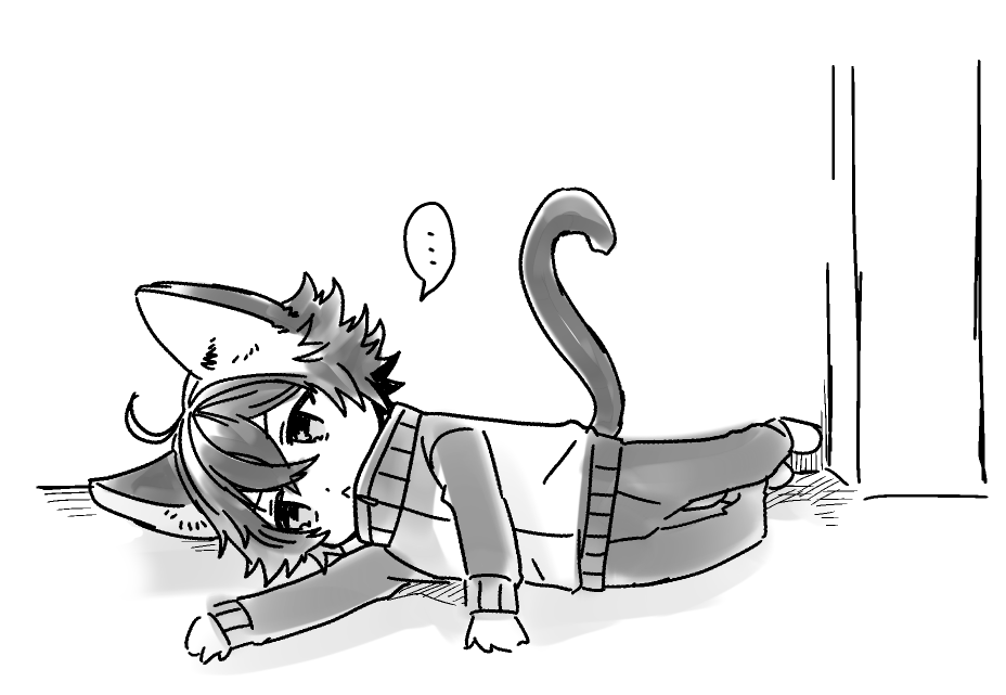 床に落ちてるねこしんしまーくん 