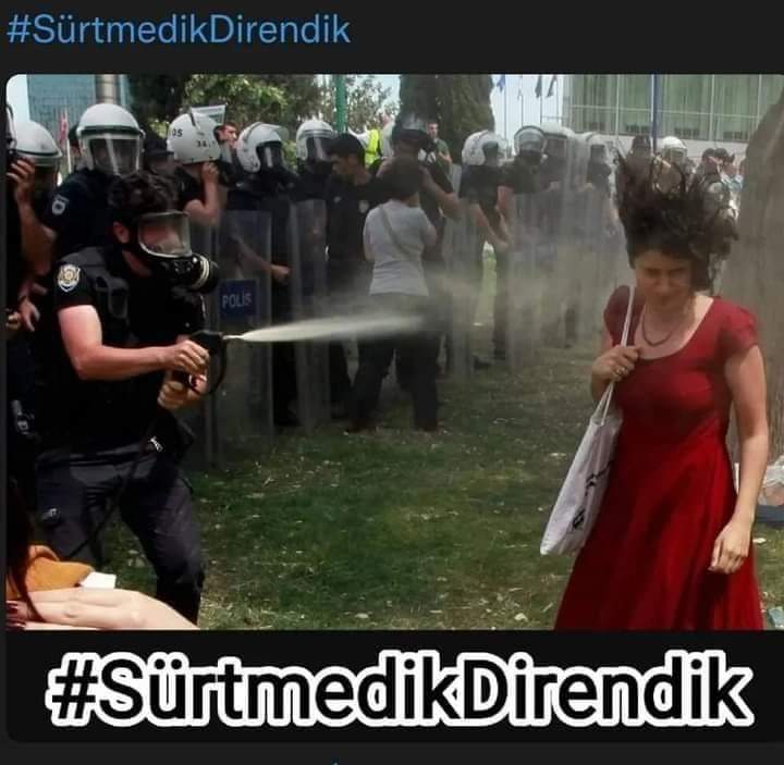 Suzan Kuran (@suzan_kuran) on Twitter photo 