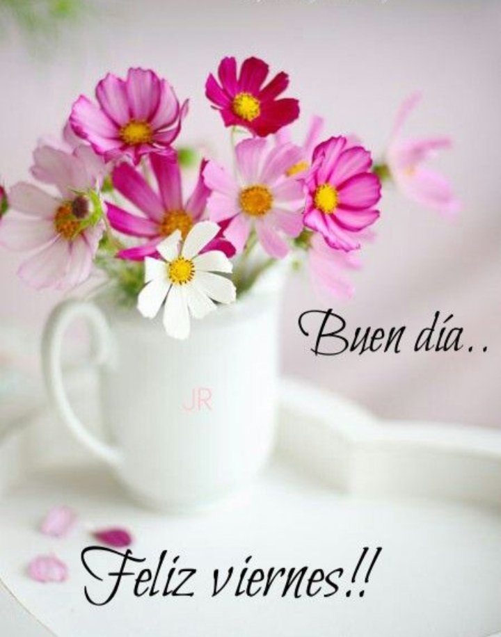 elinahernande16's tweet photo. Buenos Días mi Twitteramigos 💙
Feliz fin de semana 🙌🤗
#BuenosDias #FelizViernes #HaveASweetWeekend https://t.co/ms4bvwogda