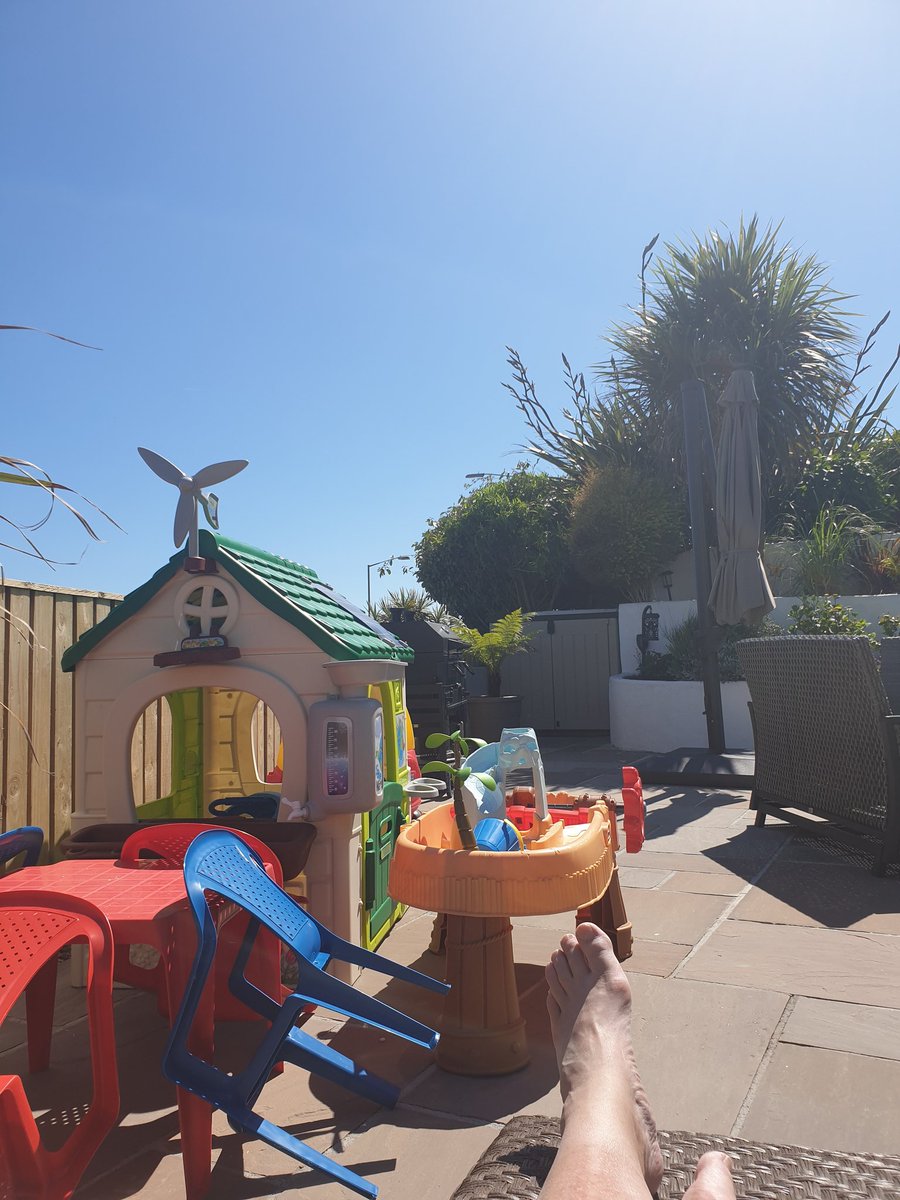 John Plummer tweet media